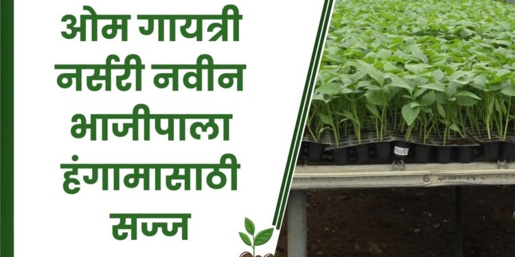 ओम गायत्री नर्सरी