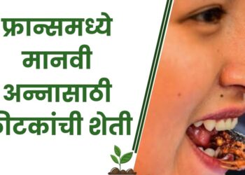 फ्रान्समध्ये मानवी अन्नासाठी कीटकांची शेती