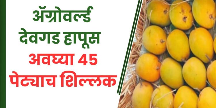 ॲग्रोवर्ल्ड देवगड हापूस