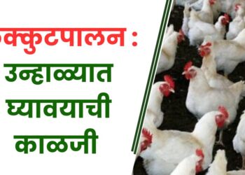 कुक्कुटपालन