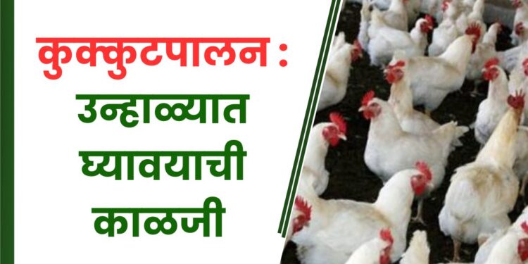 कुक्कुटपालन