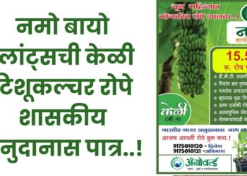 नमो बायो प्लांट्सची केळी टिशूकल्चर रोपे शासकीय अनुदानास पात्र..!