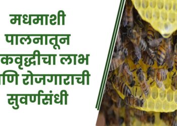 मधमाशी पालनातून पीकवृद्धीचा लाभ आणि रोजगाराची सुवर्णसंधी