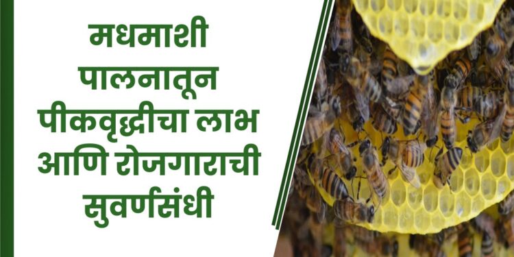 मधमाशी पालनातून पीकवृद्धीचा लाभ आणि रोजगाराची सुवर्णसंधी