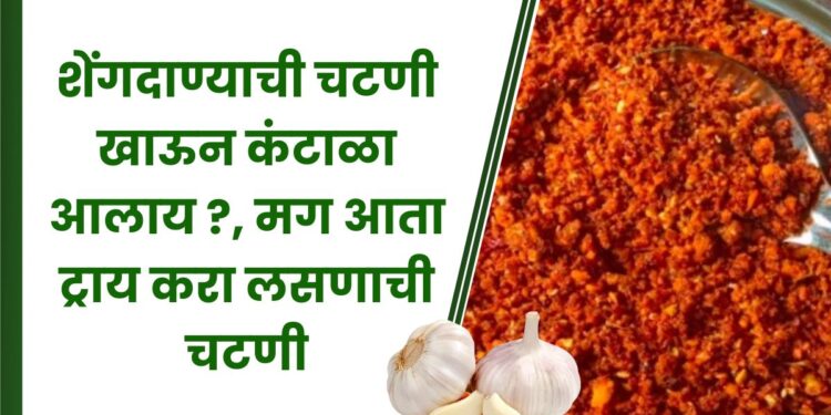 शेंगदाण्याची चटणी खाऊन कंटाळा आलाय ?, मग आता ट्राय करा लसणाची चटणी