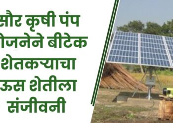 सौर कृषी पंप