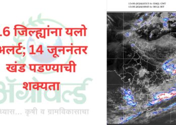 16 जिल्ह्यांना यलो अलर्ट; 14 जूननंतर खंड पडण्याची शक्यता