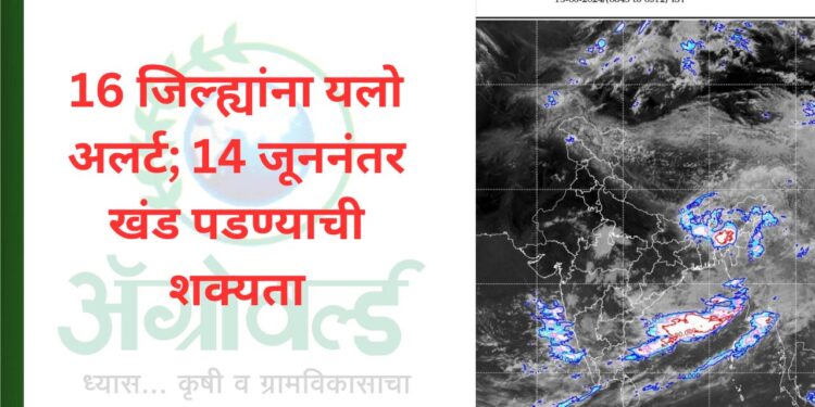 16 जिल्ह्यांना यलो अलर्ट; 14 जूननंतर खंड पडण्याची शक्यता