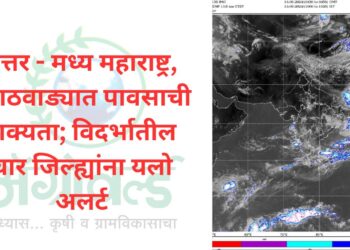 उत्तर – मध्य महाराष्ट्र, मराठवाड्यात पावसाची शक्यता; विदर्भातील चार जिल्ह्यांना यलो अलर्ट