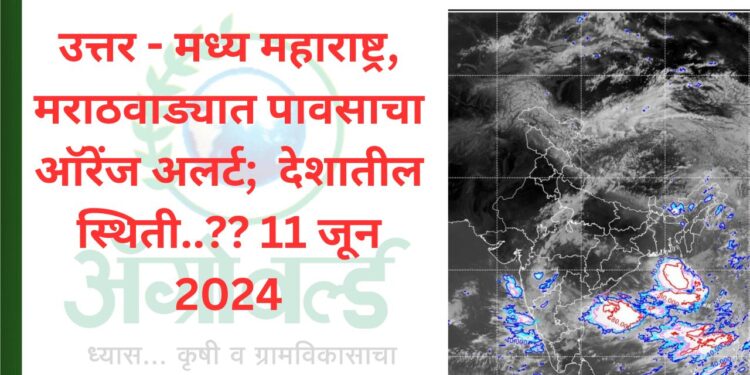 मराठवाड्यात पावसाचा ऑरेंज अलर्ट