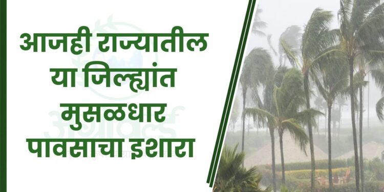 Monsoon Update 28 June 2024