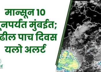 यलो अलर्ट