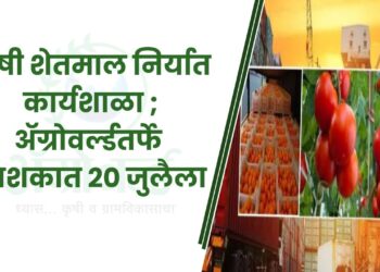EXPORT WORKSHOP.. कृषी शेतमाल निर्यात कार्यशाळा..; अ‍ॅग्रोवर्ल्डतर्फे नाशकात 20 जुलैला…