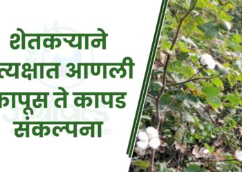 शेतकऱ्याने प्रत्यक्षात आणली कापूस ते कापड संकल्पना