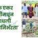 एक एकर शेतीमधून साधली 'आत्मनिर्भरता'