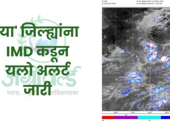 IMD कडून यलो अलर्ट जारी