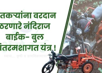 नंदिराज बाईक-बुल आंतरमशागत यं