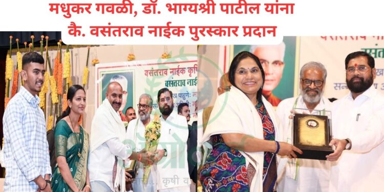 वसंतराव नाईक पुरस्कार