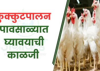 कुक्कुटपालन