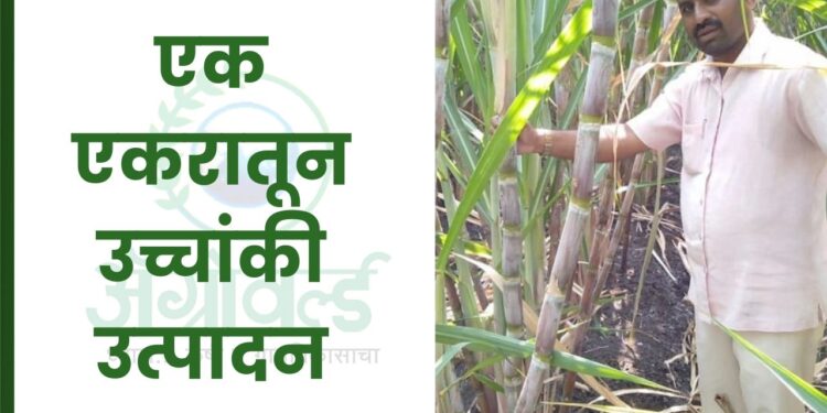 एक एकरातून उच्चांकी उत्पादन; ऊस उत्पादक अमर पाटील यांची यशोगाथा