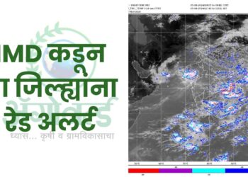 IMD कडून या जिल्ह्यांना अतिमुसळधार पावसाचा रेड अलर्ट
