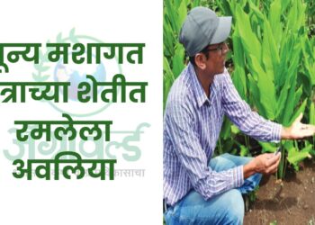 शून्य मशागत तंत्रा