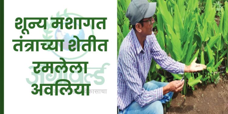 शून्य मशागत तंत्रा