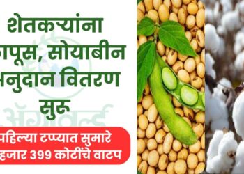 कापूस, सोयाबीन