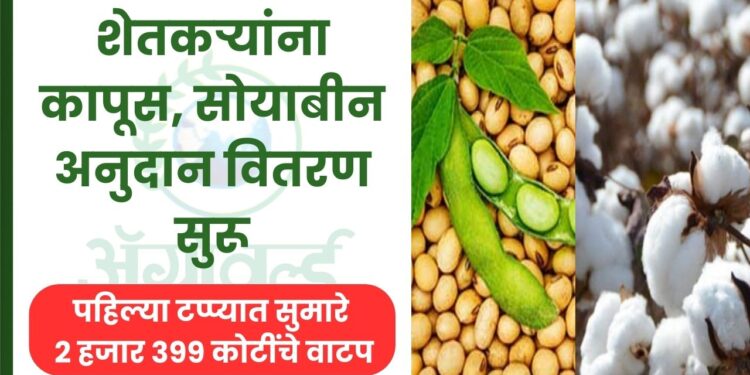 कापूस, सोयाबीन