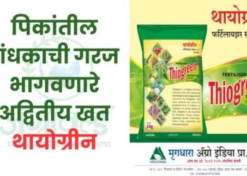 थायोग्रीन