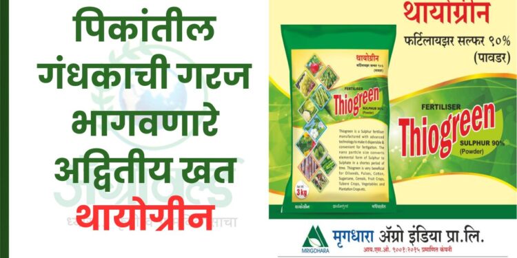 थायोग्रीन