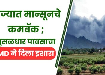 राज्यात मान्सूनचे कमबॅक