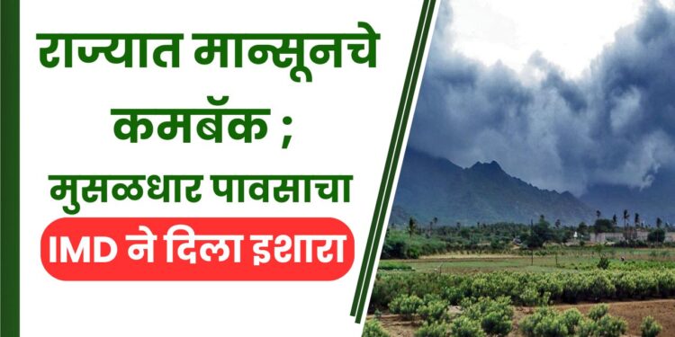 राज्यात मान्सूनचे कमबॅक