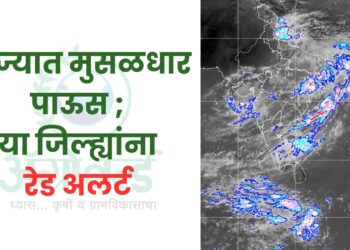 राज्यात मुसळधार पाऊस ; या जिल्ह्यांना रेड अलर्ट