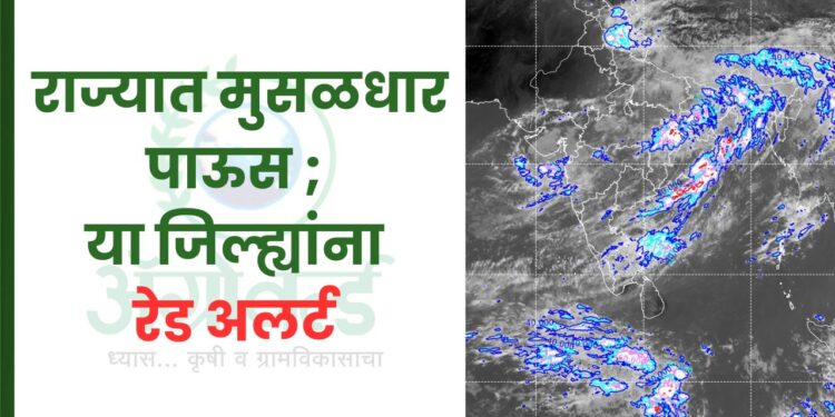 राज्यात मुसळधार पाऊस ; या जिल्ह्यांना रेड अलर्ट
