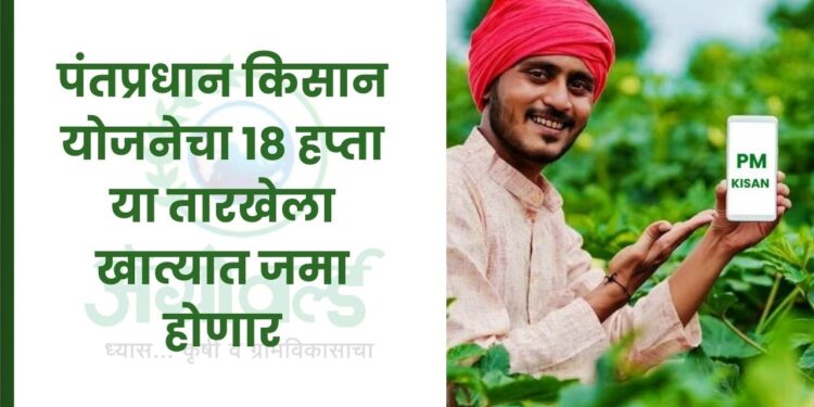 पंतप्रधान किसान योजनेचा 18 हप्ता या तारखेला खात्यात जमा होणार