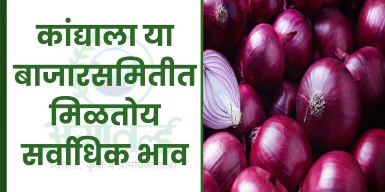 कांद्याला या बाजारसमितीत मिळतोय सर्वाधिक भाव