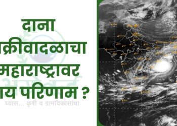 दाना चक्रीवादळाचा महाराष्ट्रावर काय परिणाम