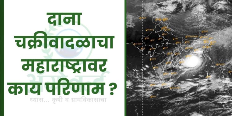 दाना चक्रीवादळाचा महाराष्ट्रावर काय परिणाम