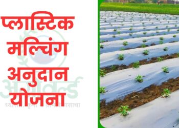 प्लास्टिक मल्चिंग अनुदान योजना