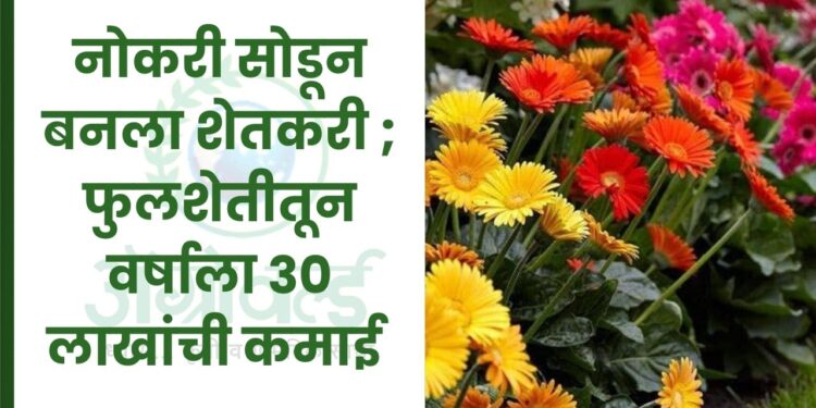 नोकरी सोडून बनला शेतकरी ; फुलशेतीतून वर्षाला 30 लाखांची कमाई
