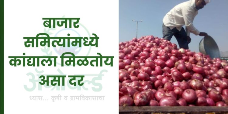 बाजार समित्यांमध्ये कांद्याला मिळतोय असा दर