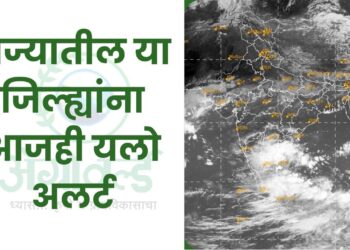 राज्यातील या जिल्ह्यांना आजही यलो अलर्ट