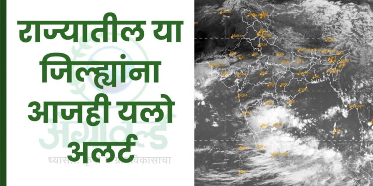 राज्यातील या जिल्ह्यांना आजही यलो अलर्ट