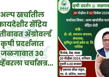 अल्प खर्चातील फायदेशीर सेंद्रिय शेती