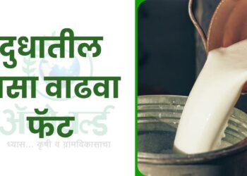 दुग्ध व्यवसाय