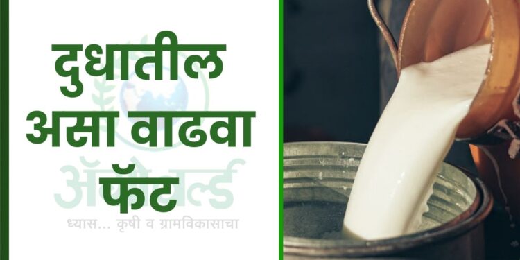 दुग्ध व्यवसाय