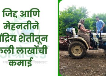 जिद्द आणि मेहनतीने सेंद्रिय शेतीतून केली लाखोंची कमाई