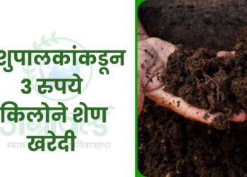 हिमाचल सरकार