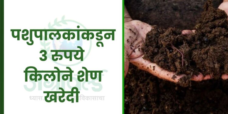 हिमाचल सरकार